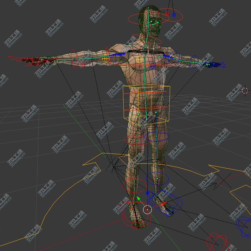 images/goods_img/20210113/3D BLENDER Rigged Male and Female Anatomy V07/4.jpg